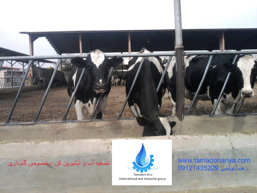 تصفیه آب گاوداری, آبشیرین کن گاوداری, تصفیه آب گاوداری ORGANIK  ,مدرن ترین دستگاه های مخصوص گاوداری, 09121435229 رضا یونسی آزاد 